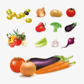 Vegetables Vector Free, HD Png Download, Transparent PNG