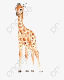 Transparent Baby Shower Clipart Free - Baby Giraffe Watercolor Clipart, HD Png Download, Transparent PNG