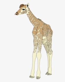 Baby Giraffe Svg Clip Arts - Giraffe Clip Art, HD Png Download, Transparent PNG