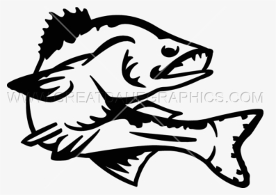 Walleye Vector Clipart Black And White Stock - Walleye Clipart Black And White, HD Png Download, Transparent PNG