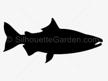 Salmon Clipart Knowledge - Life Quotes, HD Png Download, Transparent PNG