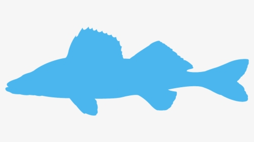 Transparent Walleye Fish Clip Art, HD Png Download, Transparent PNG