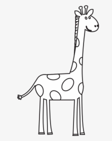 Clip Art Caricature Cute Borders Vectors - Black And White Giraffe Clip Art, HD Png Download, Transparent PNG