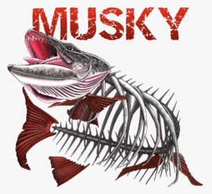 Muskie Decal, HD Png Download, Transparent PNG