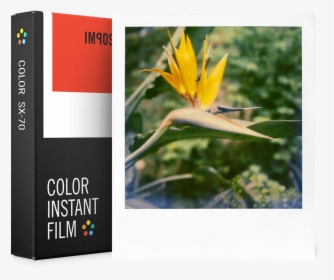 Impossible Sx 70 Film Color, HD Png Download, Transparent PNG
