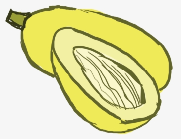 Collection Of Squash - Spaghetti Squash Clip Art, HD Png Download, Transparent PNG