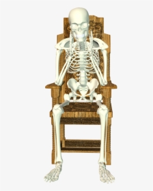 Human Skeleton Skeleton Sitting In Chair, HD Png Download, Transparent PNG