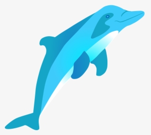 Cartoon Dolphin Jumping Out Of Water, HD Png Download, Transparent PNG