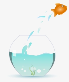 Fish Jumping Out Of Bowl, HD Png Download, Transparent PNG