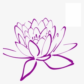 Magnolia Clipart Magnolia Flower - Lotus Flower Drawing Png, Transparent Png, Transparent PNG