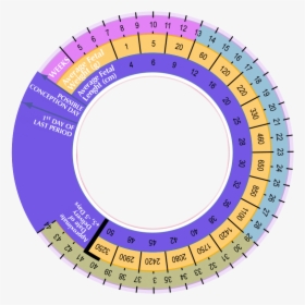 Cark - Circle, HD Png Download, Transparent PNG