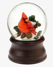 Cardinal Snow Globe   Class - Snow Globe, HD Png Download, Transparent PNG