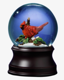 Holiday Cardinal Snow Globe   Class - Okapi, HD Png Download, Transparent PNG