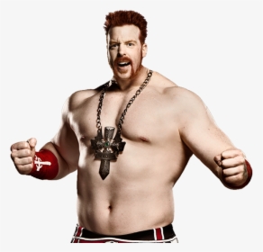 Funny Wrestling Pictures - Sheamus New Look, HD Png Download, Transparent PNG