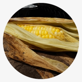 Corn On The Cob - Corn Kernels, HD Png Download, Transparent PNG