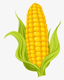 Maize Drawing Photography - Clipart Corn Transparent, HD Png Download, Transparent PNG