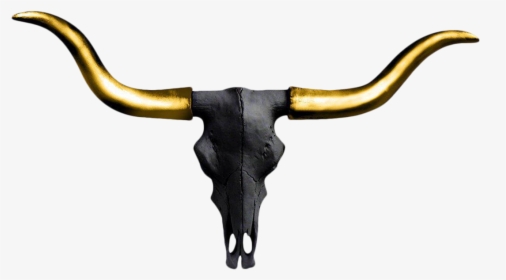 Texas Longhorn English Longhorn Wall Decal Color - Texas Longhorn, HD Png Download, Transparent PNG