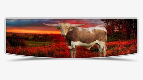 Lutt Longhorns Sale Banner Image - Texas Longhorn, HD Png Download, Transparent PNG