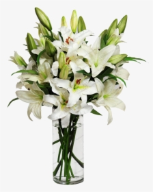 Transparent White Lily Png - Flowers In Vase Png, Png Download, Transparent PNG