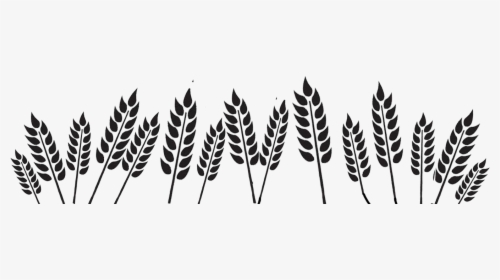Black And White Wheat Png, Transparent Png, Transparent PNG