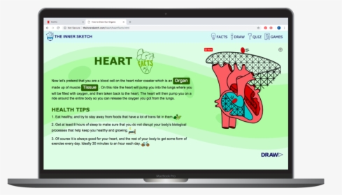 Innner Sketch Heart Facts , Png Download - Led-backlit Lcd Display, Transparent Png, Transparent PNG