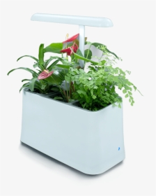 Plant-based Air Purifier, More Than Just Indoor Plants - Plant Based Air Purifier, HD Png Download, Transparent PNG