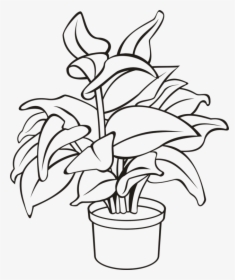 Flowerpot Houseplant Plants Leaf Cc0 - Potted Plant Line Drawing, HD Png Download, Transparent PNG