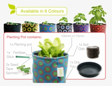 Transparent Indoor Plant Png - Food Decomposing Flower Pot, Png Download, Transparent PNG