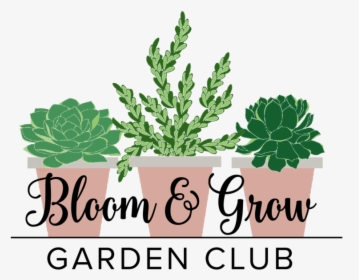 Bloom And Grow Radio, HD Png Download, Transparent PNG