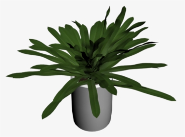 Houseplant, HD Png Download, Transparent PNG