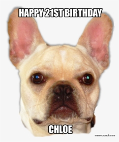 Happy 21st Birthday - Happy Birthday Ginger Cunt, HD Png Download, Transparent PNG