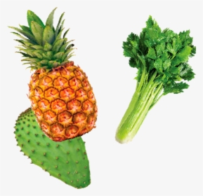 Piña Apio Y Nopal - Pineapple, HD Png Download, Transparent PNG