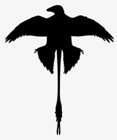 Microraptor Shape Of Extinguished Dinosaur - Microraptor Wings, HD Png Download, Transparent PNG