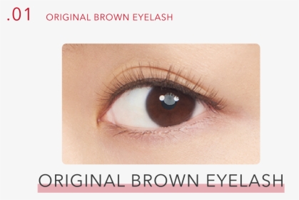 01 Original Brown Eyelash - Eye Shadow, HD Png Download, Transparent PNG