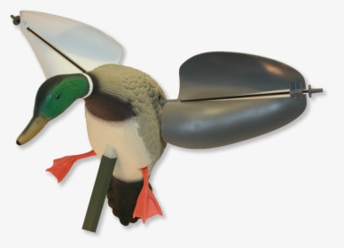 Duck Hunt Duck Png , Png Download - Mojo Wind Duck, Transparent Png, Transparent PNG