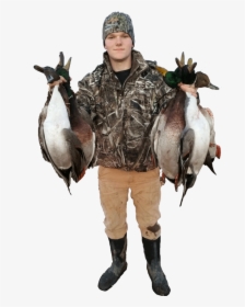 Waterfowl Hunting Png, Transparent Png, Transparent PNG