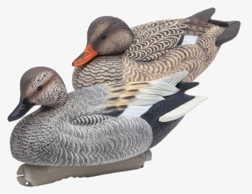 Floating Gadwall Duck Hunting Decoys From Final Approach - Gadwall Decoys, HD Png Download, Transparent PNG
