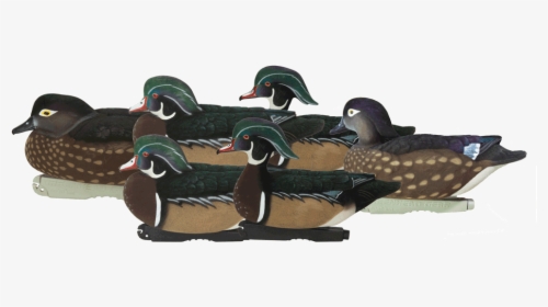 74135 Pro-grade Ffd Elite Wood Ducks 6pack Studio - Wood Duck, HD Png Download, Transparent PNG