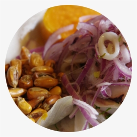 Round Ceviche Web - Red Onion, HD Png Download, Transparent PNG