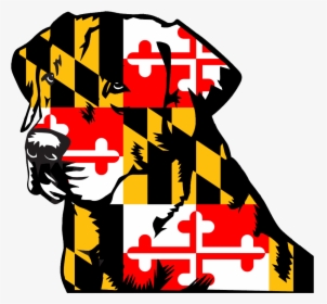 Maryland 3 X5 - Maryland State Flag Clipart, HD Png Download, Transparent PNG