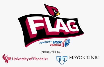 Arizona Cardinals Nfl Flag - Arizona Cardinals, HD Png Download, Transparent PNG