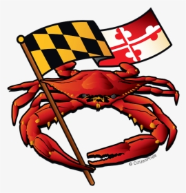 Maryland Flag Crab, HD Png Download, Transparent PNG
