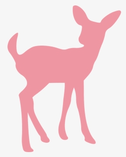 Deer, Fawn, Wildlife, Animal, Mammal, Young, Baby, - Fawn Silhouette, HD Png Download, Transparent PNG