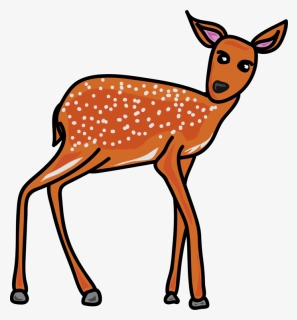 Animal, Wildlife, Deer Fawn, Baby Animal, Young Animal - Grey Animals Clip Art, HD Png Download, Transparent PNG