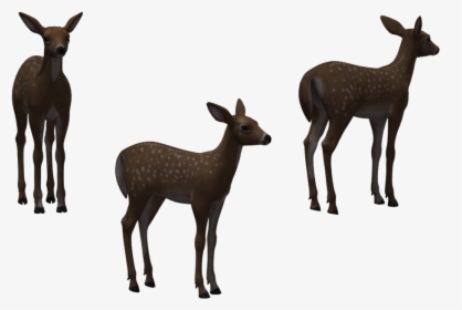 White-tailed Deer Elk Clip Art - Herd, HD Png Download, Transparent PNG