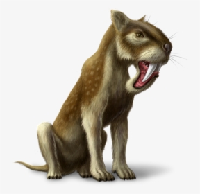 Transparent Saber Tooth Tiger Png - Cat Yawns, Png Download, Transparent PNG