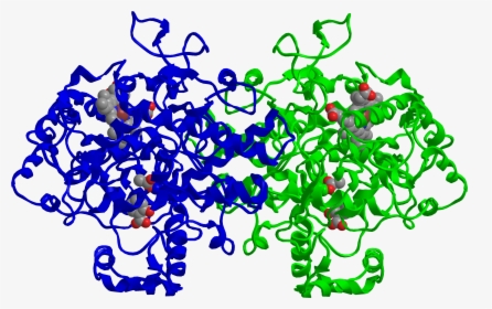 Cox-2 Inhibited By Aspirin - Aspirin Cox Structure, HD Png Download, Transparent PNG