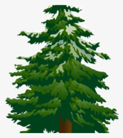 Pine Tree Clip Art Tree Clip Art Snowy Pine Tree Clipart - Transparent Background Pine Tree Clipart, HD Png Download, Transparent PNG