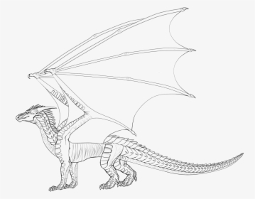 Line Art Wings Of Fire Drawing Dragon - Dragon Lineart Base, HD Png Download, Transparent PNG