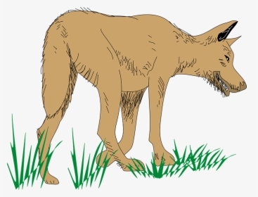 Wolf, Animal, Mammal, Brown, Grass, Food, Hunting - Animated Walking Dog Png, Transparent Png, Transparent PNG